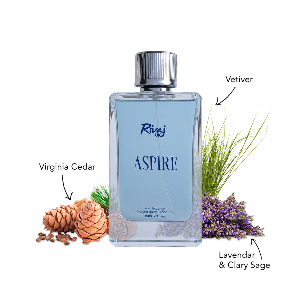 Aspire Eau De Men Perfume 100ml